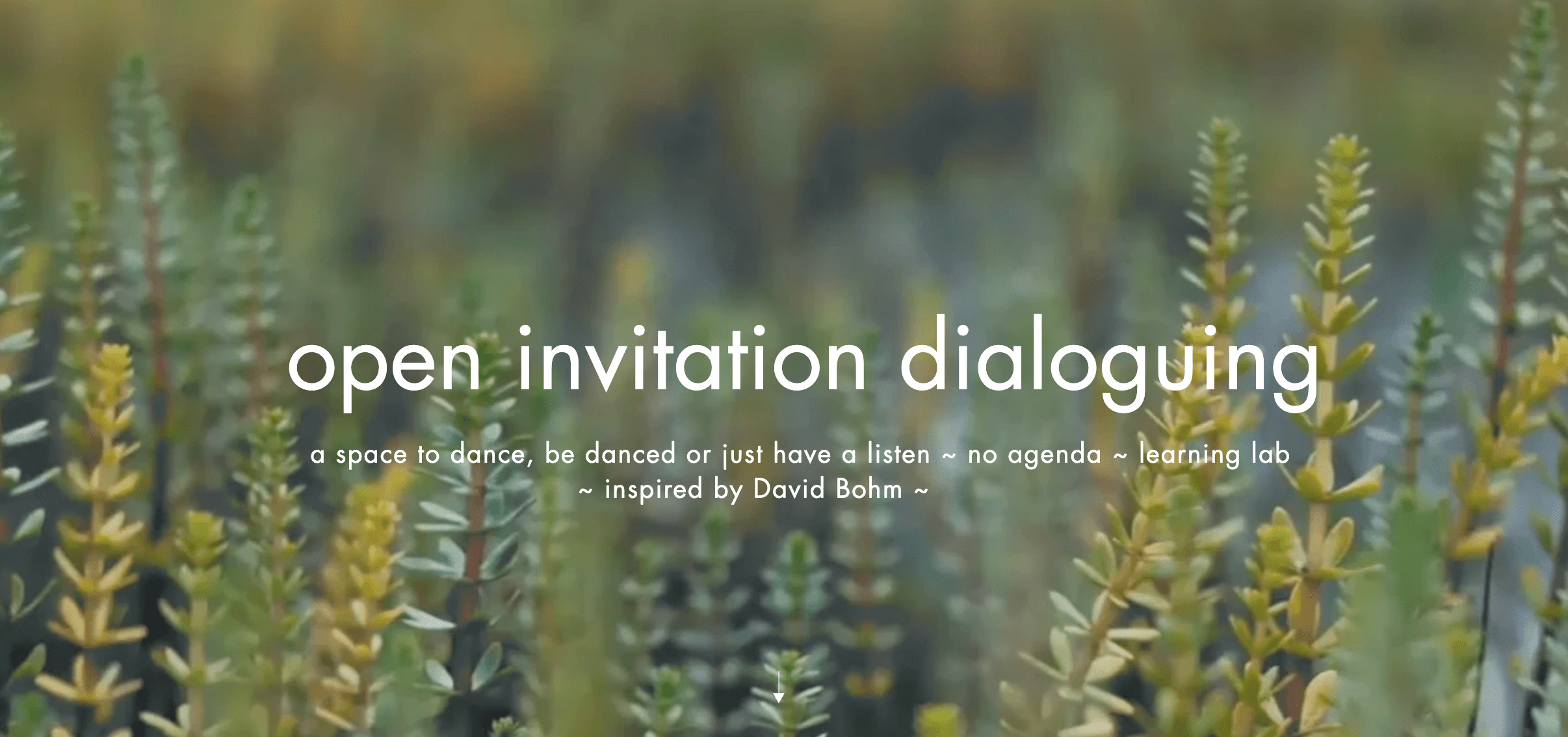 Open Invitation Dialoguing