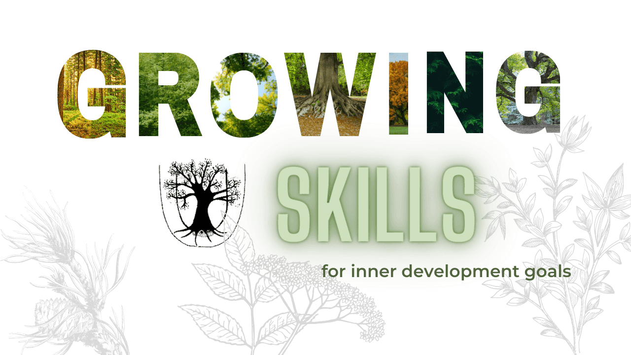Growing skills for inner development goals